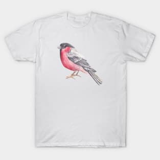 Bird. Bullfinch T-Shirt